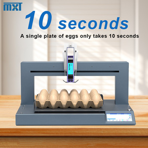 Полностью автоматический струйный принтер для яиц, маленький цельный лоток, Дата печати, серийный номер, яйцо, машина для кодирования - Product Image 3