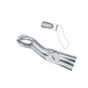 Pinzas para Extracción de Dientes Fig.67 Diam Top, Acero Inoxidable de Alta Calidad, Manuales, Certificación CE, Logotipo Personalizado, Instrumentos Dentales - Product Image 5