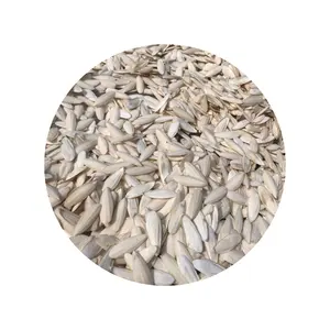 베트남 공급 업체 말린 오징어 뼈-100% 천연 오징어 뼈 수출-도매/Ms LiLy + 84906927736