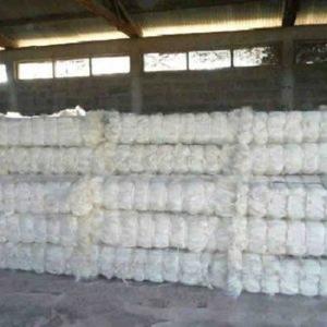 Fibre de sisal de catégorie d'ug pour le matériau de construction 100kgs/balle - Product Image 4