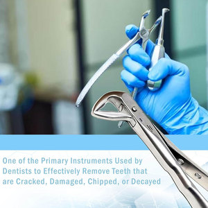 Nouveauté : Forceps d'extraction dentaire manuel en acier inoxydable - Utilisation professionnelle, prix bas - Product Image 2