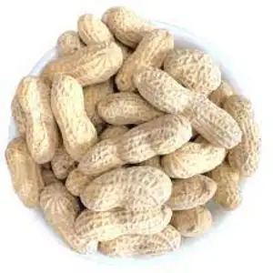 천연 비 GMO 고급 5-6 cm 15 kg 봉지 벌크 너트 및 커널 식품 껍데기 땅콩