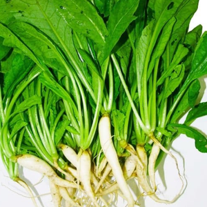 Hojas congeladas de rábano Verde | Alta calidad | Precio de fábrica - Product Image 1