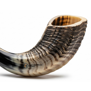 Shofar en corne de bélier naturelle incurvée, fait à la main, corne traditionnelle pour usage religieux, décoration et son authentique - Product Image 5
