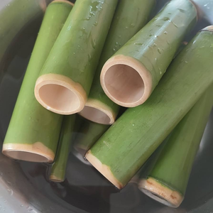 TUBE DE STOCKAGE EN BAMBOU BIOLOGIQUE/SOLUTION ÉCOLOGIQUE/FABRIQUÉ AU VIETNAM - Product Image 6