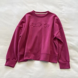 Vente chaude personnalisé décontracté gaufrage hommes sweat 100% coton poids lourd haute qualité 3D en relief surdimensionné hommes sweat - Product Image 5