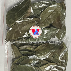 Lá Mãng Cầu khô {graviola Leaf} Việt Nam - Product Image 1