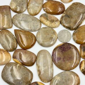 AAA + alta calidad 100% cabujón de Coral fósil Natural piedra preciosa suelta para la fabricación de joyas verde con suministro de lote de tamaño personalizable - Product Image 4