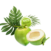 Hidratación Tropical Pura: Coco Fresco de Vietnam con Cáscara Semi-Despulpada, Pulpa Espesa y Agua de Coco Hidratante de Alta Calidad