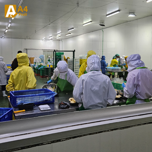 Tailandia Durian elegido a mano perfectamente maduro cremoso exótico sabor tropical estallando fresco mejores plantaciones Khey Taladthai grado - Product Image 4