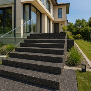 ผลิตภัณฑ์หินแกรนิตสีดำแบบพ่นทรายสไตล์คลาสสิก พรีเมียม คลีโอ สำหรับใช้ในโรงแรม ตัดตามขนาดที่ต้องการ - Product Image 2