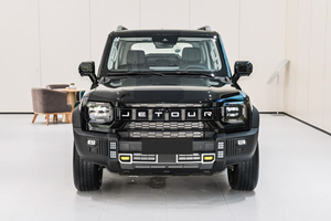 เจโทร T2 รุ่นปี 2024 ดีเอชที 2 วีดี ไวลด์แลนด์ อิดิชั่น พีอีวี เคเอ็ม ดูอัล มอเตอร์ รุ่นปี 2025 พีอีวี - Product Image 5