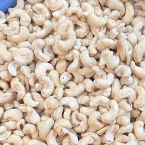 Vente en gros de noix de cajou grillées en coque Santigo Vietnam Vente en gros W180 W240 W320 OEM, ODM - Product Image 1