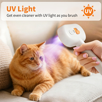 Brosse vapeur démêlante UV pour toilettage des animaux (chiens et chats) avec batteries rechargeables, livraison rapide, vente en gros