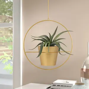 Jardinera de Interior de Metal colgante decorativa para el hogar galvanizada de alta calidad para plantas pequeñas colgante de plantación de interior - Product Image 5