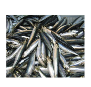 Hareng congelé de qualité supérieure, poisson tilapia, poisson congelé - Product Image 1