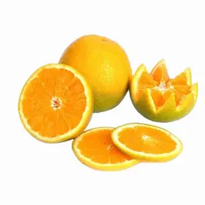 Agrumi freschi-Valencia/Navel Orange, Lime/limone, mandarino, agrumi, mandarini in vendita dal Canada