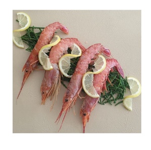 Camarones Rojos Argentinos Congelados Frescos, Exportación de Mariscos Sostenibles, Calidad Premium, Suministro a Granel Disponible - Product Image 1