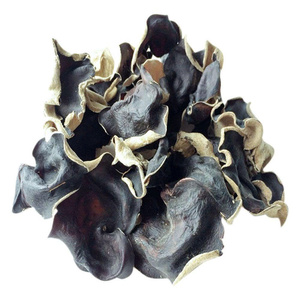 CHAMPIGNON NOIR SÉCHÉ DE QUALITÉ SUPÉRIEURE EN BOIS NATUREL CHAMPIGNON EN VRAC VENTE EN GROS APPROVISIONNEMENT À L'EXPORTATION HOT DEAL TOP VENTES MEILLEURE OFFRE PROMOTION - Product Image 5