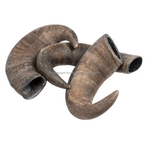 Corne de buffle d'eau naturelle de haute qualité à mâcher pour chiens pour animaux de compagnie, y compris les chats directement d'Inde par RF Crafts - Product Image 6