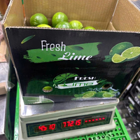 Export Kwaliteit Pitloze Kalk Uit Vietnam Geschikt Voor Wereldwijde Distributie