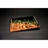 Nouveau plateau de service en résine au design extrême, pièce unique, matériau de qualité supérieure, plat, pour restaurants et hôtels, collection 2 Brother's