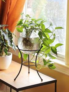 High Quality Large Indoor Outdoor Balcony Garden <b>Pot</b> Flower <b>Pots</b> Planters New Design Modern Black Metal Planter from India - Product Image 4
