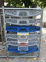 Collecte automatique des œufs de caille en plastique cage HJ-QC400B