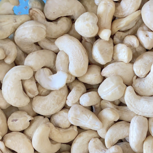 Usine Santigo grillée biologique de haute qualité au Vietnam W180 noix de cajou de qualité supérieure exportées vers l'UE, Moyen-Orient - Product Image 1