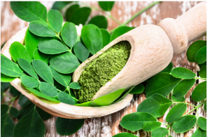 Poudre de thé de Moringa biologique en gros, haute pureté, prise en charge OEM - Product Image 4