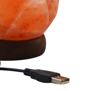 Lampe au sel de l'Himalaya USB naturel rose cristal de roche lumière purificateur d'air lampe de nuit pour la relaxation - Product Image 6