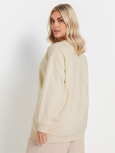 OEM/ODM Dernier design à succès, sweat à capuche zippé pour femmes - Style personnalisable, sweat à capuche uni surdimensionné 100% coton pour femmes - Product Image 3