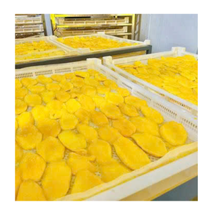 Bandes de mangue séchées douces de qualité supérieure, vente en gros de fruits déshydratés biologiques de l'usine du Viet Nam pour les collations et la pâtisserie. - Product Image 4