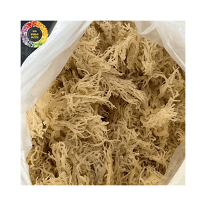 Musgo marino fresco seco natural, algas marinas de musgo irlandés sin sal para gel de musgo marino, Eucheuma Cottonii artesanal, bolsa de 25kg - Product Image 3