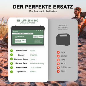 Paquete de batería LiFePo4 25,6 V 100Ah 4000 ciclos baterías de hierro de litio BMS incorporado RV barco batería de almacenamiento de energía para el hogar - Product Image 2