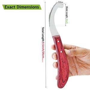 Outil professionnel de grattoir d'oeufs de cheval couteau à oeufs de Bot outil de retrait d'oeufs de mouche de mouche de bot poignée moderne enlevant le manteau de mouche de bot avec le manche en bois - Product Image 5