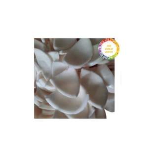 Viande de noix de coco congelée naturellement blanche Propre et sûre Aucun blanchiment nécessaire Facile à utiliser pour les smoothies, les desserts et la cuisine - Product Image 5