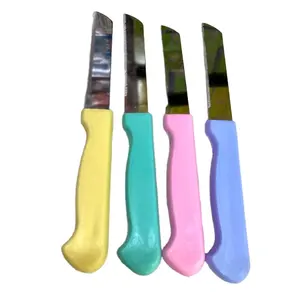 Made In India High Quality Knife Plastic Handle Material Stainless Steel Blade Kitchen Knives for Vegetable and Fruit Cutting