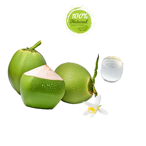 Dulzura Pura, Coco Fresco Vietnamita, Alimento Natural Premium para la Salud, 12-13 cm, Producto Agrícola - Product Image 1