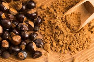 Extracto de Guaraná en Polvo Puro y Natural de Alta Calidad, Suministro de Fábrica - Product Image 2