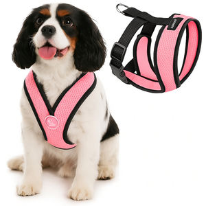 Logo kustom nyaman bingkai X tali kekang anjing desain nilon sejuk untuk anjing kecil anak anjing olahraga mewah antilicin gesper bebas kalung - Product Image 1