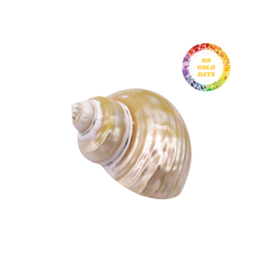 Porte-serviettes de luxe en coquillage fabriqués à la main-Design naturel respectueux de l'environnement pour les salles à manger et les banquets exclusifs - Product Image 1