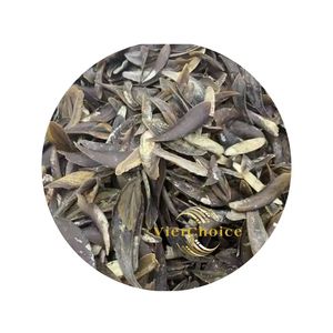Plusieurs ventes Murex Operculum Artisanat de coquille naturelle de haute qualité de VietChoice Made In Vietnam Fabricant Livraison rapide - Product Image 6