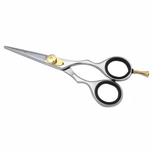 Professional Best Hot Selling Barber Scissors Embroidered Hairdressing Shears Hair Cutting Accessories Beauty Tools For Salon