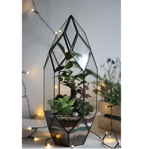 Superior Best Quality Brass Border Gold Finished Clear <b>Glass</b> Tabletop Decoration <b>Terrarium</b> Garden Decoration Centerpiece Usage - Product Image 2