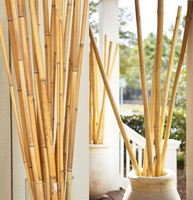 Precio barato de alta calidad, gran oferta, postes de bambú Natural para jardín, granja, edificios, planta, apoyo, esgrima deportiva, artesanía