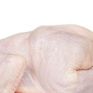 Pollo Entero Congelado Certificado Halal Disponible - Product Image 2