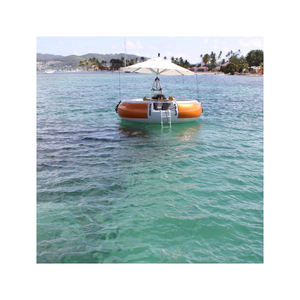 Gather Leisure <b>Electric</b> Silicone Inflatable <b>BBQ</b> Donut Boat with Over 500kg Capacity for Commercial Use - Product Image 4