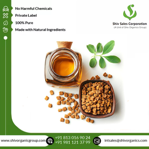 100% Huile de fenugrec pure, idéale pour les soins de la peau, les soins capillaires et l'aromathérapie, fournisseur principal offrant des quantités en vrac pour les entreprises B2B - Product Image 5