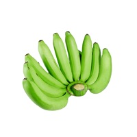 Plátano Cavendish Verde Fresco, Fruta Popular